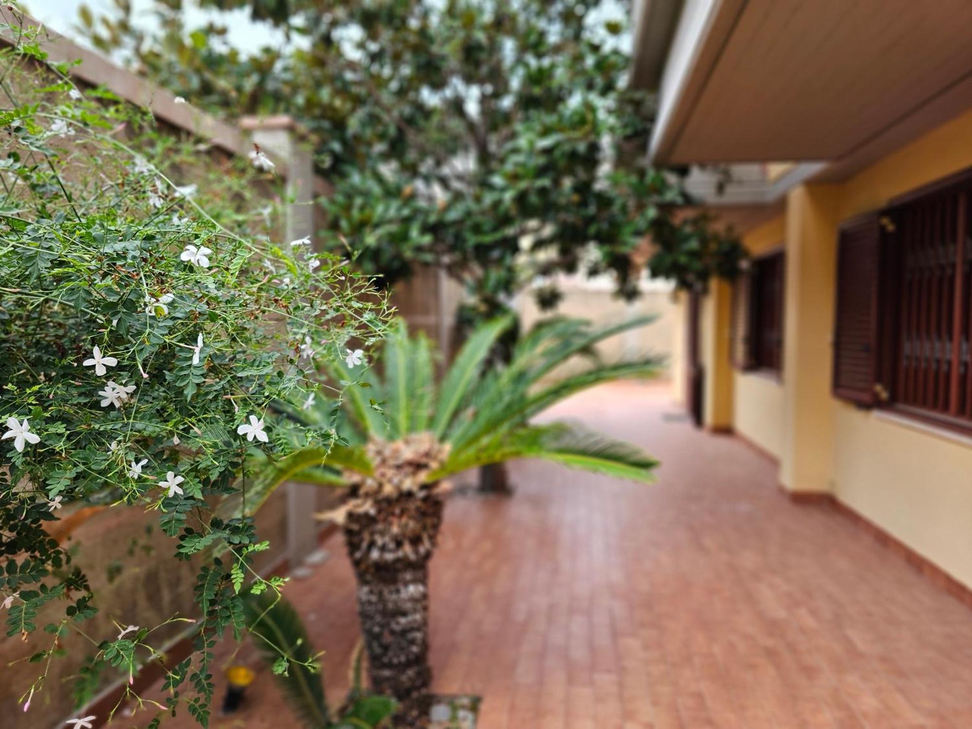 Villa Rosa - Palermo — Photos 1